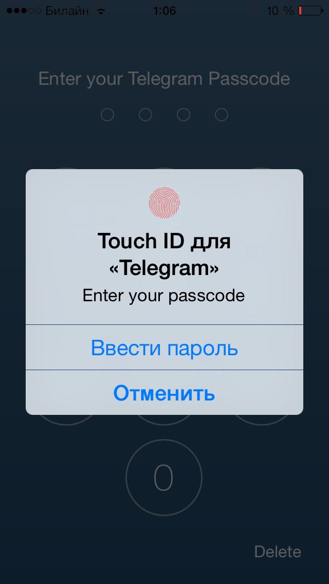 Дуров скрестил «инстаграм» и секретные чаты - 8