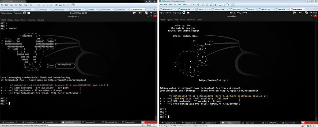 Этичный хакинг и тестирование на проникновение. Новый набор - 4