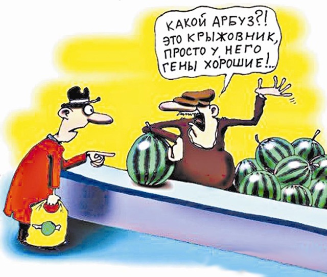 ГМО — это не только полезно, но еще и вкусно? 5 полезных ГМ-видов животных и растений - 1 ГМО — это не только полезно, но еще и вкусно? 5 полезных ГМ-видов животных и растений - 1