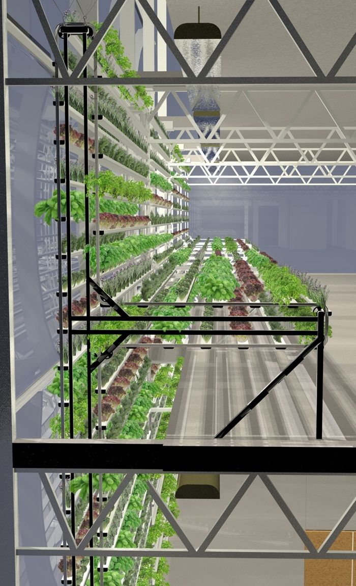 Вертикальная ферма Vertical Harvest размером 9*45м позволит выращивать тонны овощей - 2