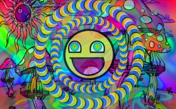 Учёные собирают деньги на изучение действия LSD - 1