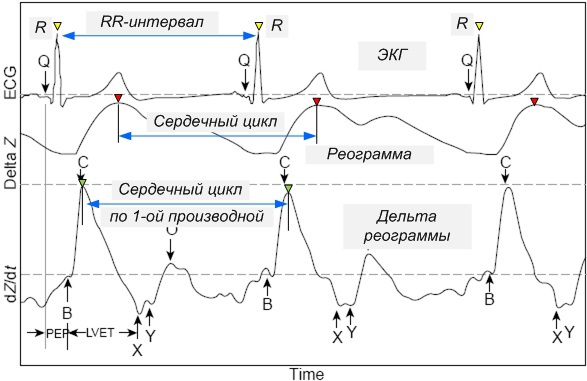 Как умные часы, спортивные трекеры и прочие гаджеты измеряют пульс? Часть 1 - 10 Как умные часы, спортивные трекеры и прочие гаджеты измеряют пульс? Часть 1 - 10