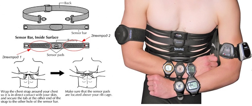 Как умные часы, спортивные трекеры и прочие гаджеты измеряют пульс? Часть 1 - 4