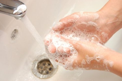 Почему так важно мыть руки после туалета?
