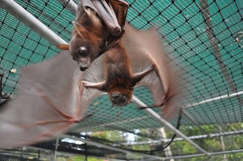 Угадайте, кого лечат в этой непримечательной больнице? (Фото) - 5 Угадайте, кого лечат в этой непримечательной больнице? (Фото)