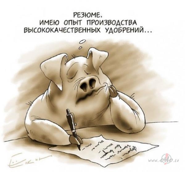 Личный опыт по составлению портфолио менеджера проектов - 1 image