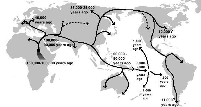 Как реконструируют ход эволюции? - 7 Как реконструируют ход эволюции? - 7