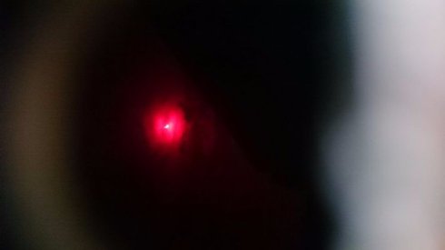 Как на самом деле проходило солнечное затмение в разных странах мира (Фото)