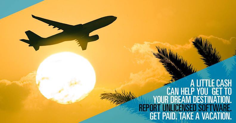 На пирата настучи и награду получи - 3 На пирата настучи и награду получи - 3