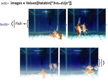 Wolfram Data Drop — новый сервис Wolfram Research - 13