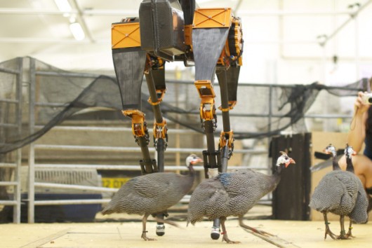 Пинок в будущее — двуногий робот шагает и не падает - 2