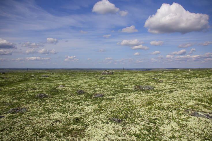 Зелёная энергетика для базовых станций и всего до 2 КВт — трёхлетний опыт с ветряками, солнечной генераций + геозондом - 6 Зелёная энергетика для базовых станций и всего до 2 КВт — трёхлетний опыт с ветряками, солнечной генераций + геозондом - 6
