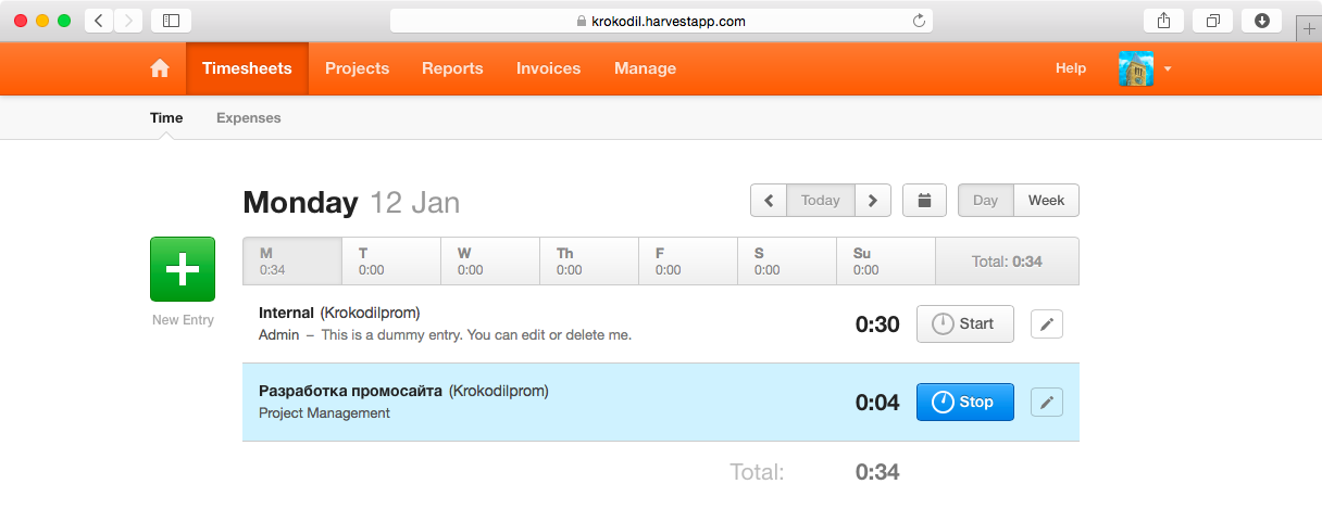 Надзиратель для фрилансера: выбираем систему учета рабочего времени - 8 Надзиратель для фрилансера: выбираем систему учета рабочего времени - 8