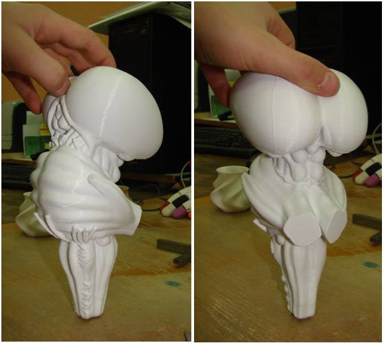 Пять вещей, которые можно распечатать на 3D-принтере. Часть №2: как самому напечатать продолговатый мозг - 12 Пять вещей, которые можно распечатать на 3D-принтере. Часть №2: как самому напечатать продолговатый мозг - 12