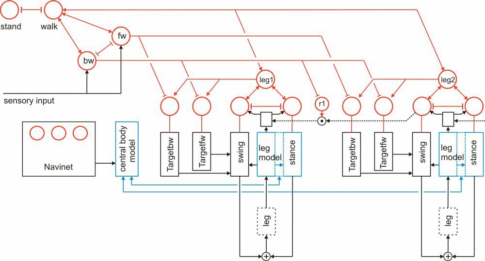 Для робота Hector разработали программу развития рефлексивного самосознания - 2 Для робота Hector разработали программу развития рефлексивного самосознания - 2