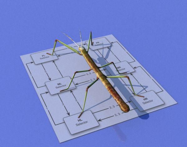 Для робота Hector разработали программу развития рефлексивного самосознания - 1 Для робота Hector разработали программу развития рефлексивного самосознания - 1