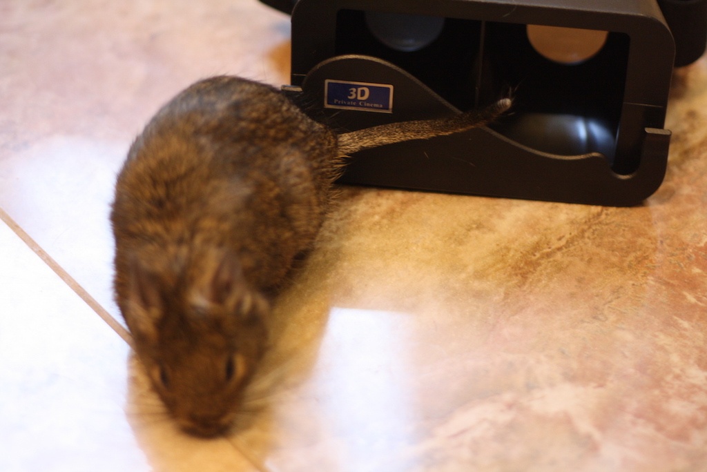 Умная розетка Orvibo, летающий глобус и геймпад для смартфонов: анбоксинг и мини-обзоры - 10 Умная розетка Orvibo, летающий глобус и геймпад для смартфонов: анбоксинг и мини-обзоры - 10