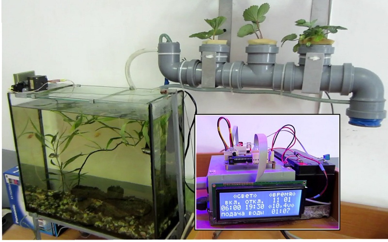 Аквапоника с применением микроконтроллера - 1 image