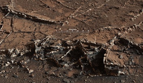 В NASA заявили о том, что нашли на Марсе странный Город сад