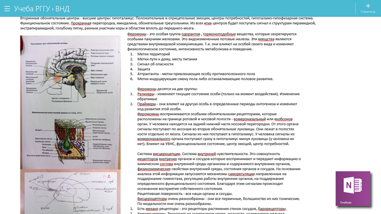 Конспектирование лекций с гаджетами. Путь к Microsoft. Часть вторая - 4