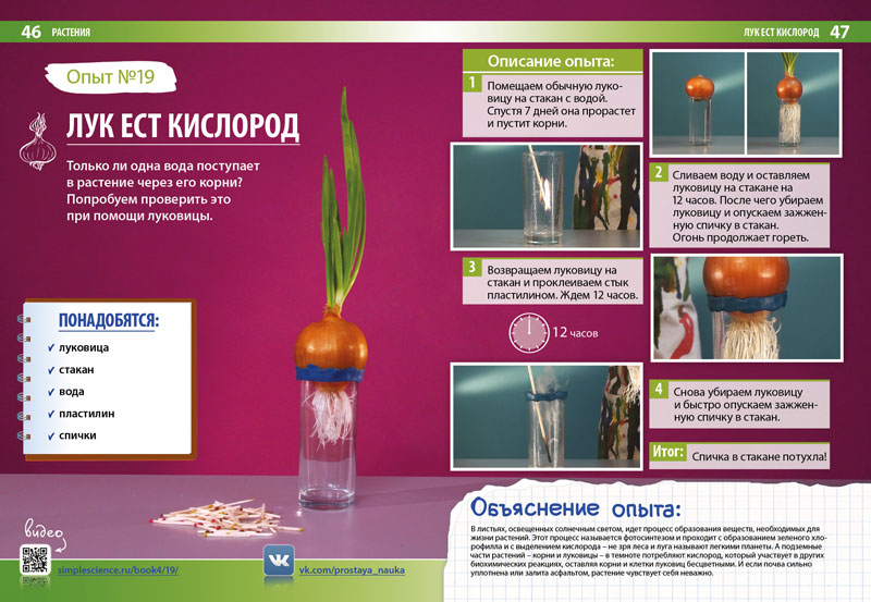 Вышла четвертая книга «Простая Наука» - 8 image