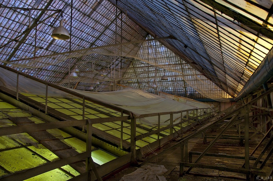 Чем можно заняться с фотокамерой ночью - 15 Чем можно заняться с фотокамерой ночью - 15