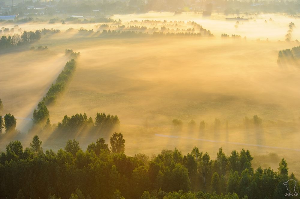 Чем можно заняться с фотокамерой ночью - 26