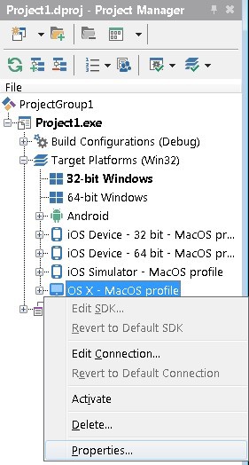 Как настроить Mac OS X, iOS-симулятор и RAD Studio XE8 (Delphi, C++ Builder) - 17 Как настроить Mac OS X, iOS-симулятор и RAD Studio XE8 (Delphi, C++ Builder) - 17