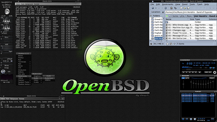 Отчёт Евросоюза рекомендует OpenBSD и другой софт для защиты граждан - 1