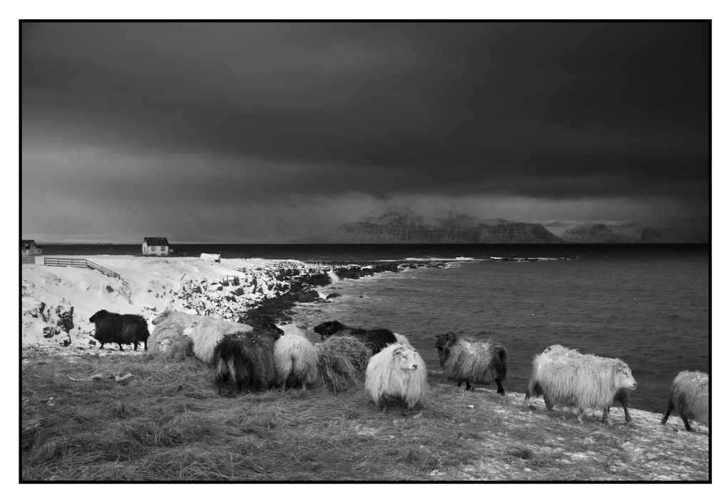 Монохромная камера от Leica за $7450 - 5 Монохромная камера от Leica за $7450 - 5