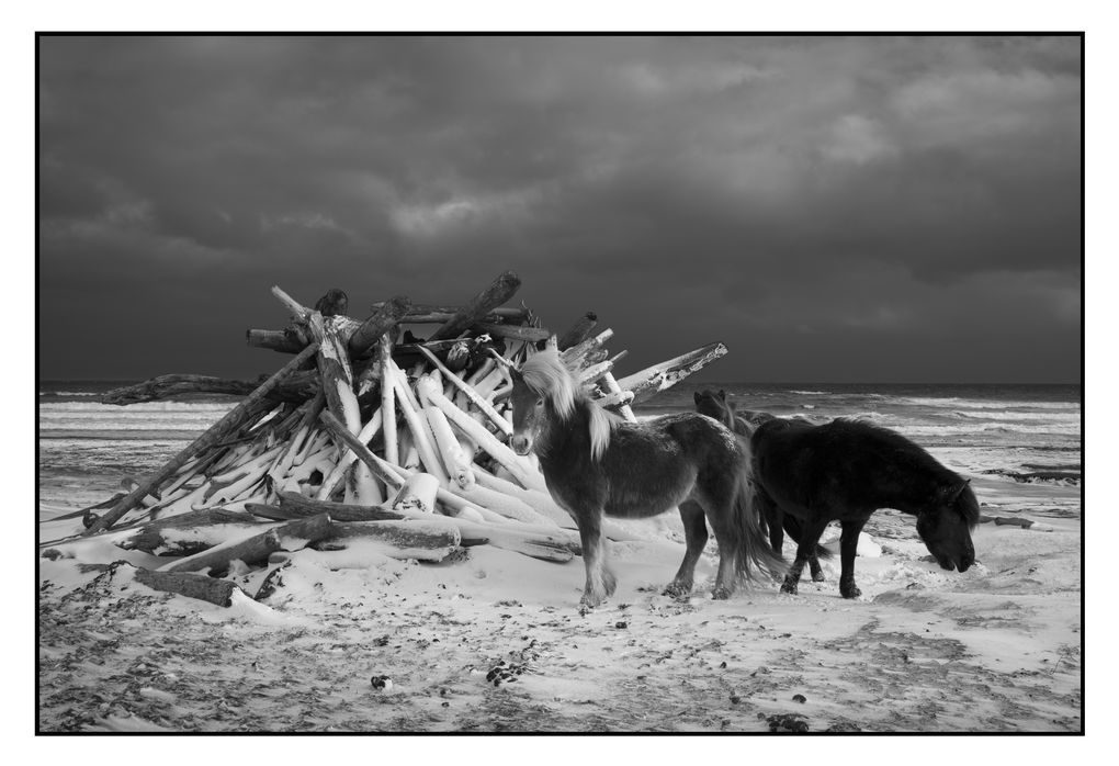 Монохромная камера от Leica за $7450 - 6 Монохромная камера от Leica за $7450 - 6