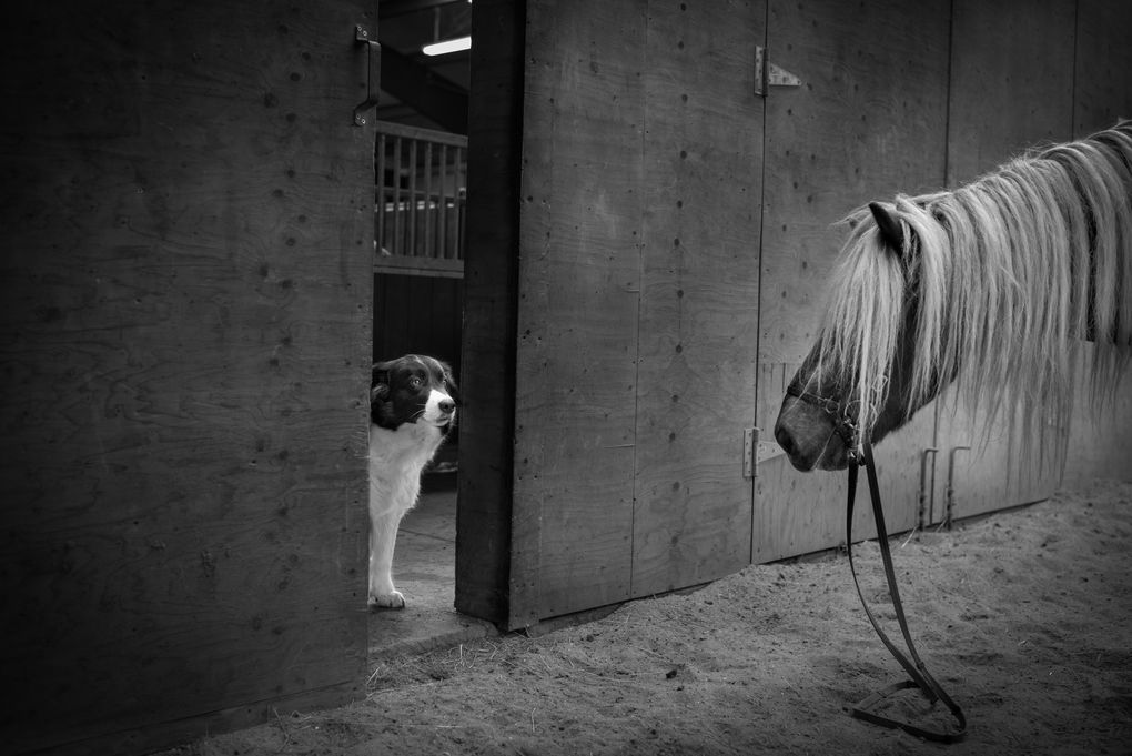 Монохромная камера от Leica за $7450 - 7 Монохромная камера от Leica за $7450 - 7