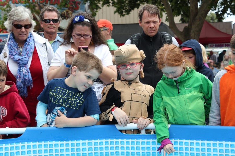 Праздник науки — Maker Faire в Сан Франциско - 19 image