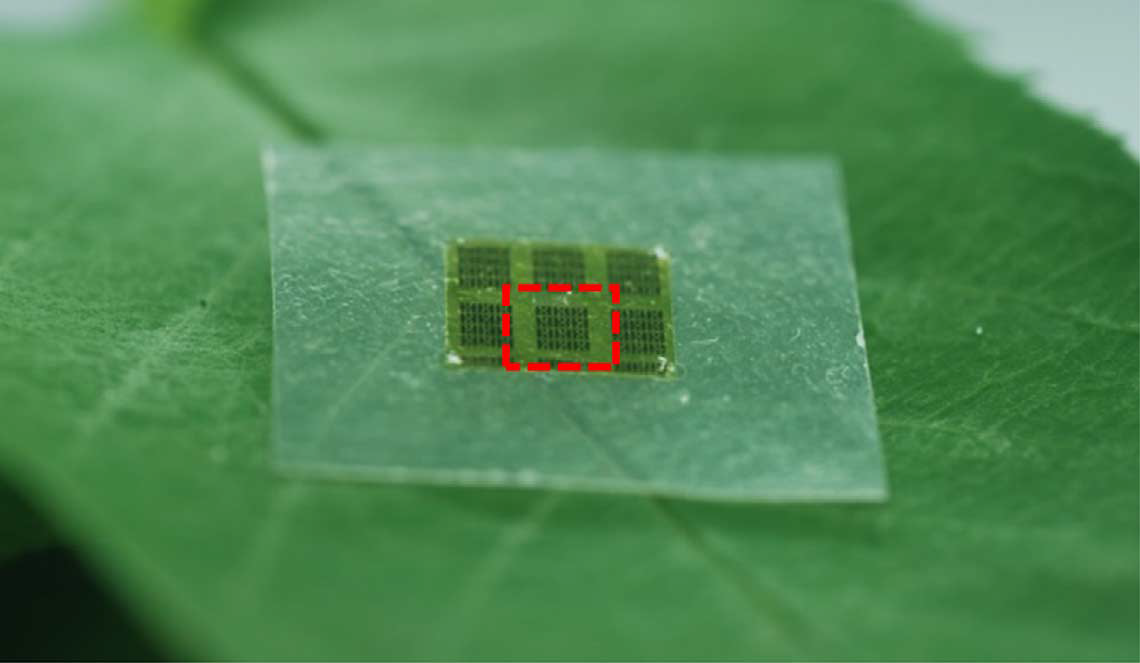 Учёные разработали способ изготовления микросхем из дерева - 2 image