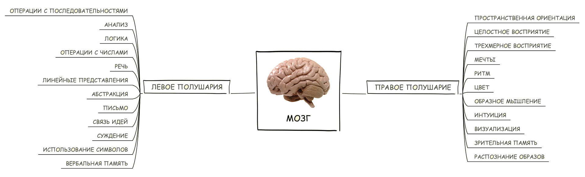 Mind Mapping, или как заставить свой мозг работать лучше - 13