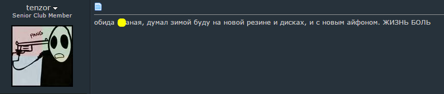 Как мы не даём кардерам получать посылки, купленные на чужие кредитки - 9