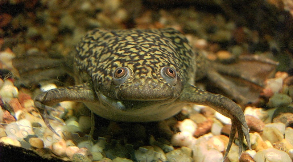 Мифы и факты о сексе в космосе - 5 Мифы и факты о сексе в космосе - 5