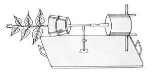 Мифы и факты о сексе в космосе - 6 Мифы и факты о сексе в космосе - 6
