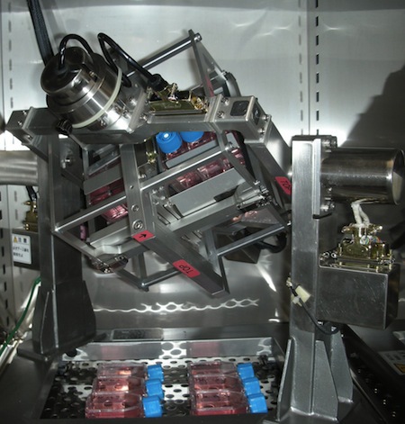 Мифы и факты о сексе в космосе - 7 Мифы и факты о сексе в космосе - 7