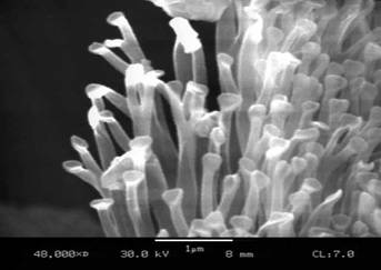 Учёные создали захват с переменной силой притяжения - 2 image