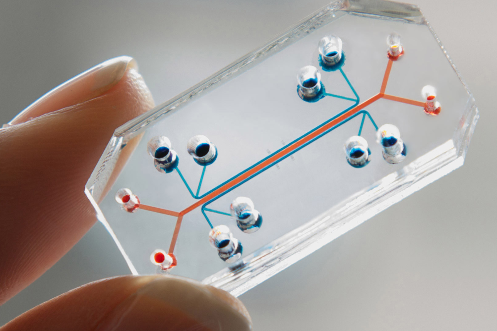 Клетки крови на чипе позволят больше узнать о тромбозах и их лечении - 2 image