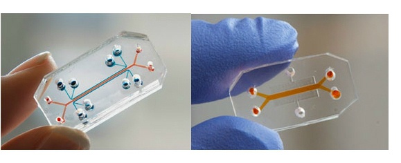 Стэнфорд и очередное новшество - 3 Стэнфорд и очередное новшество - 3