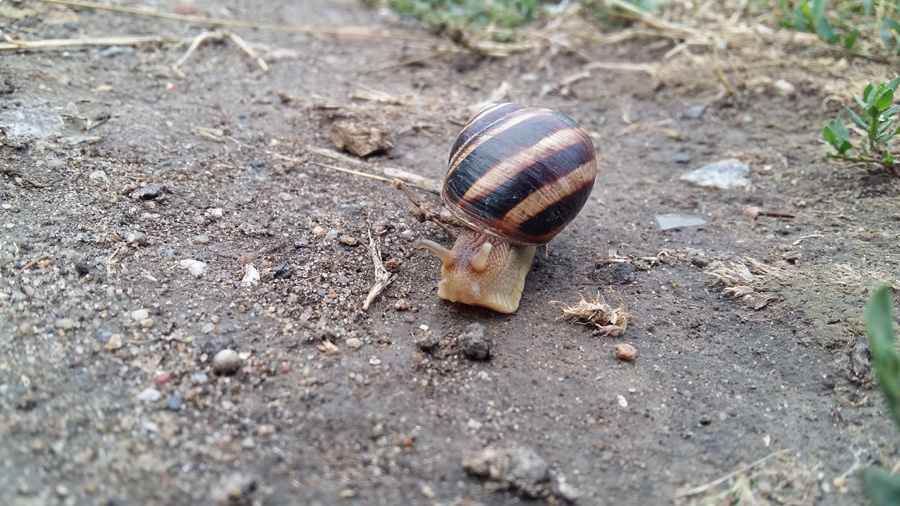 Samsung Galaxy A7: металлический смартфон повышенной изящности - 37