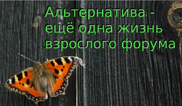 Как дать взрослому интернет-форуму новую жизнь и что находится за распадом его вторичных ядер - 1