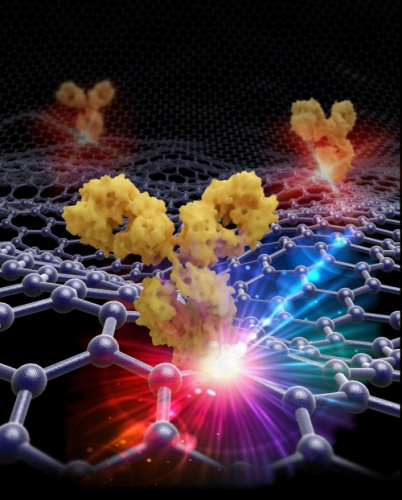 Учёные сделали из графена высокочувствительный молекулярный сенсор - 1