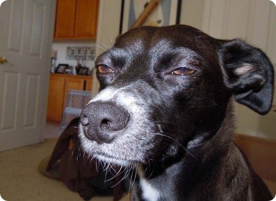 Его величество кэшбэк - 2 image