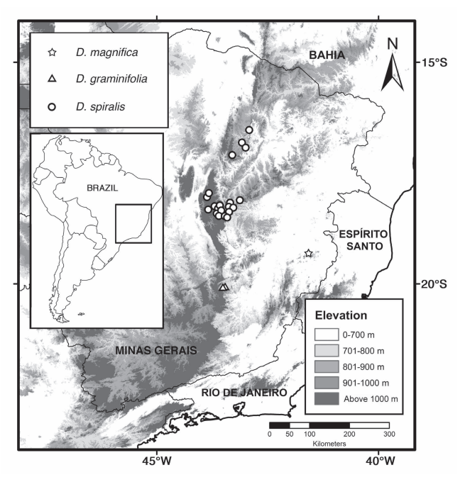 Новый вид растений найден на фотографиях Facebook - 2 Новый вид растений найден на фотографиях Facebook - 2