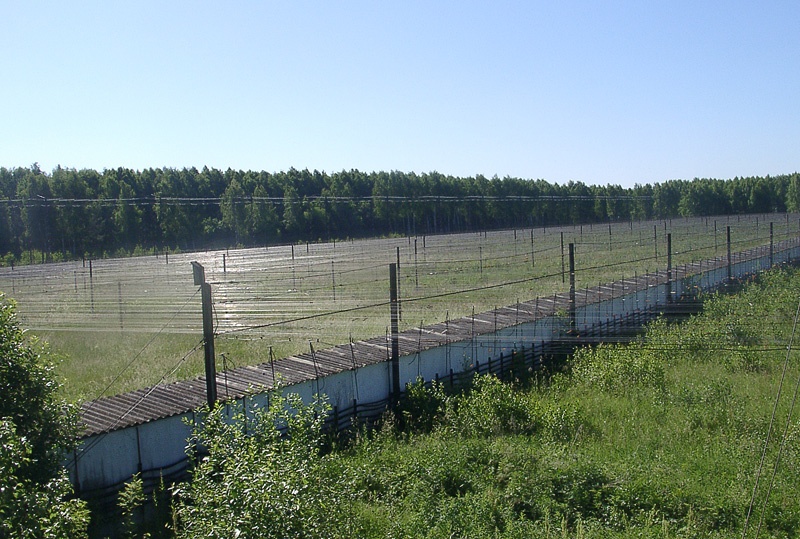 Персеиды: репортаж из Пущинской радиоастрономической обсерватории - 8 image