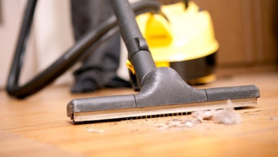 Ученые обнаружили 5000 видов микробов в домашней пыли - 1 5677