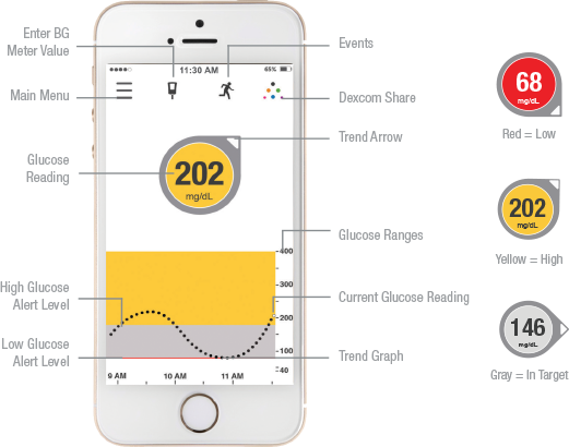 Власти США одобрили глюкометр, отправляющий замеры сахара в крови на смартфон каждые пять минут - 3 image